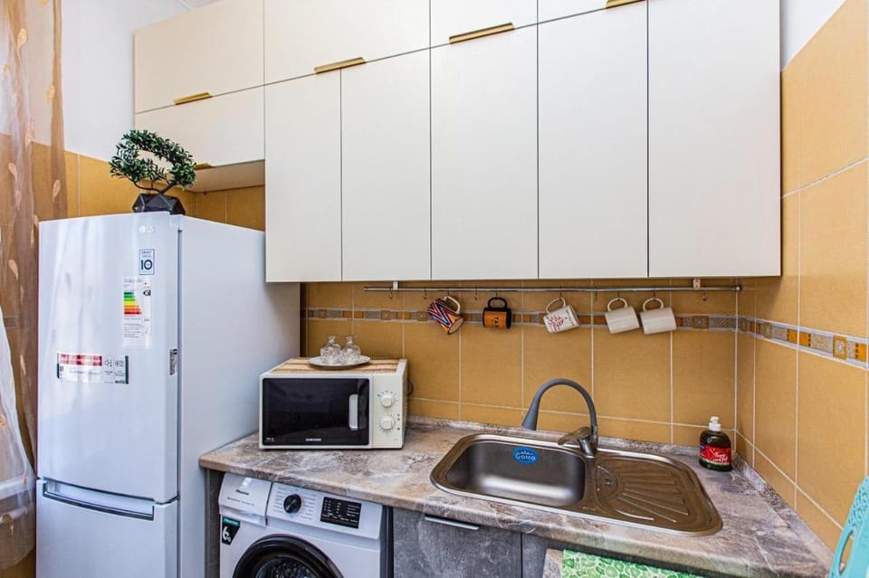 Kitchen or kitchenette, oven, stove, washing machine
