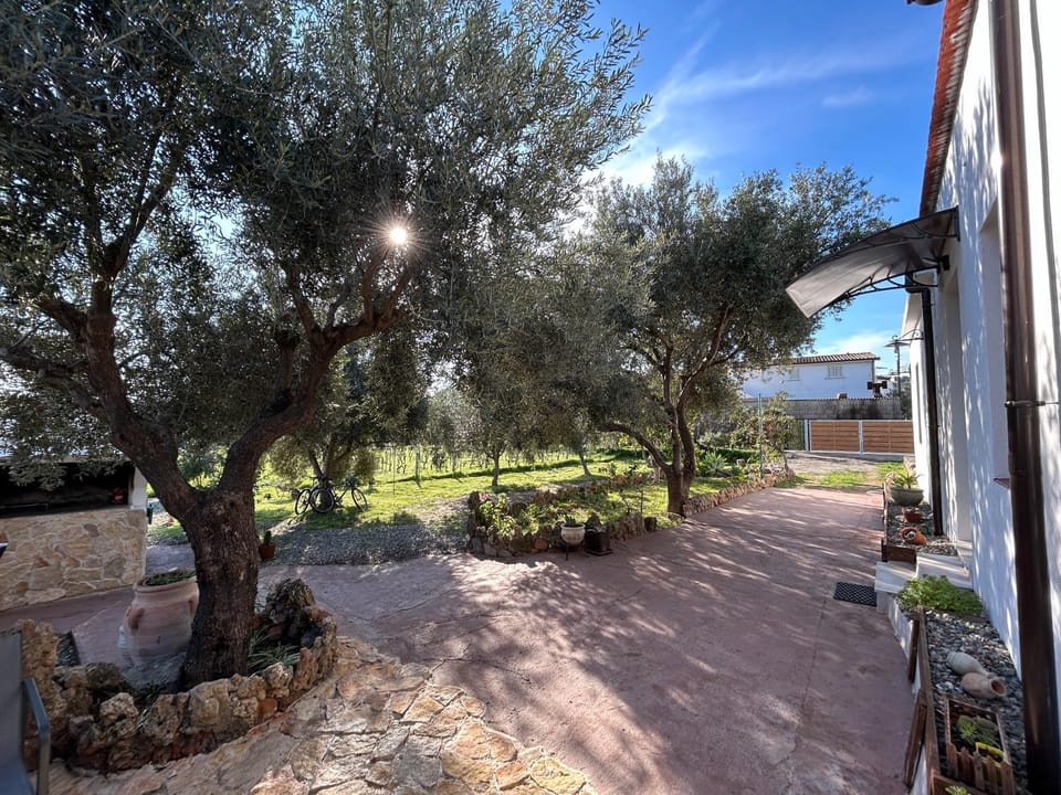 Natural landscape, Garden, Garden view