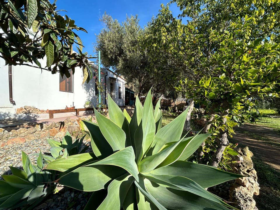 Garden, Garden view