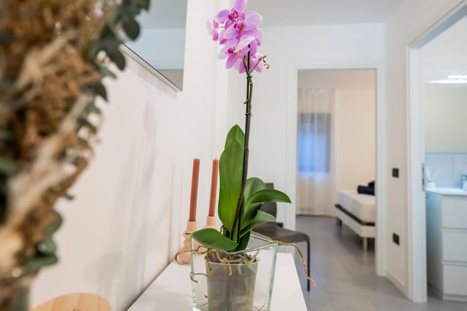 Gelsi Apartments Lake Como Apartment in Province of Lecco