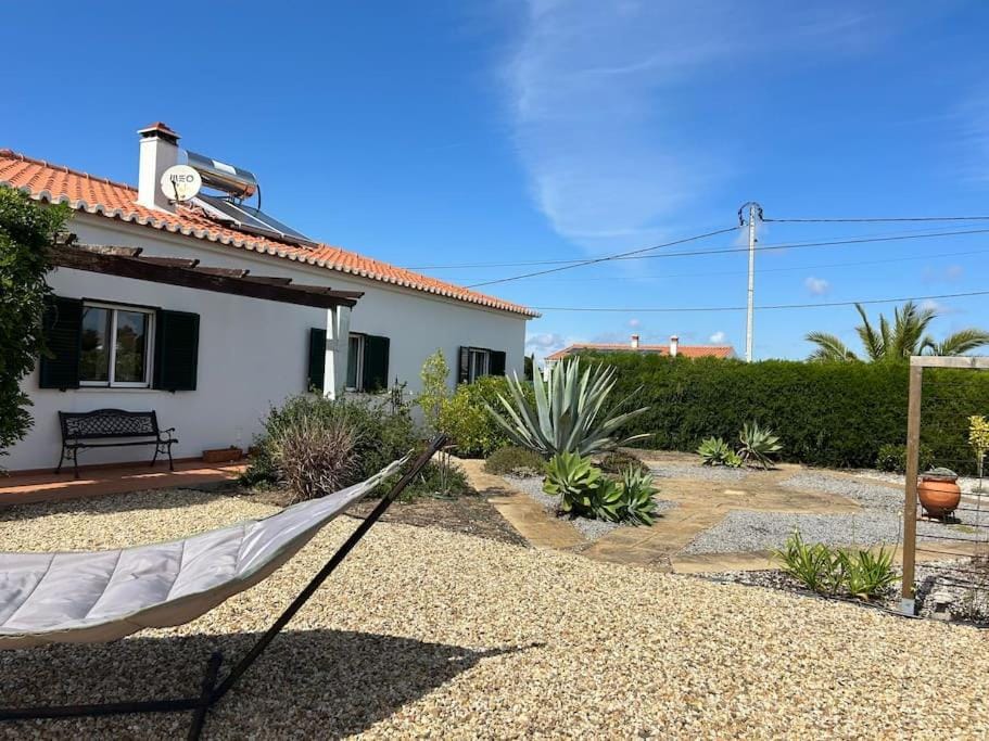 Garden, sunbed