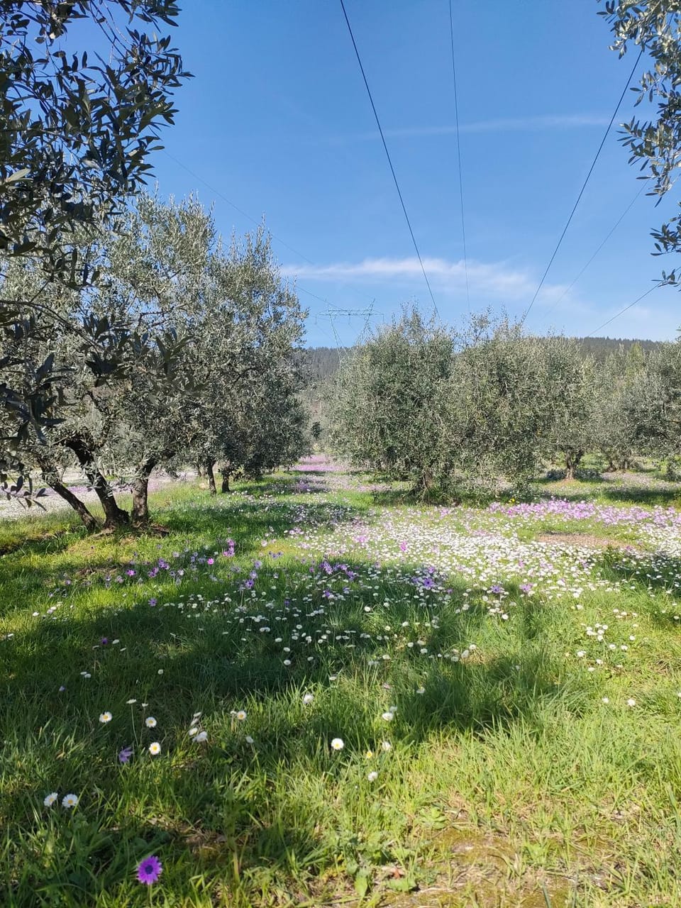 Natural landscape