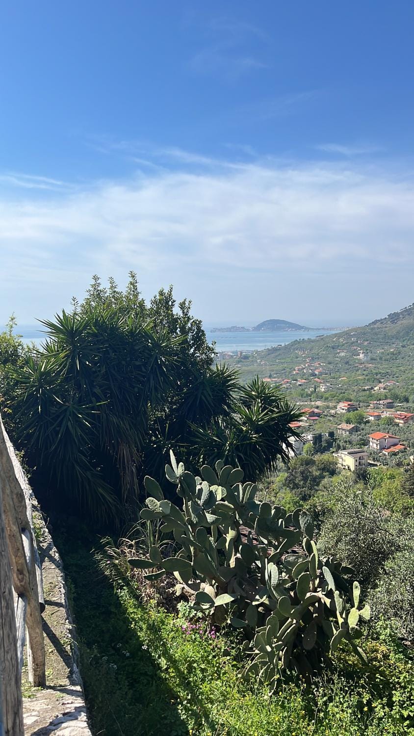 Landmark view