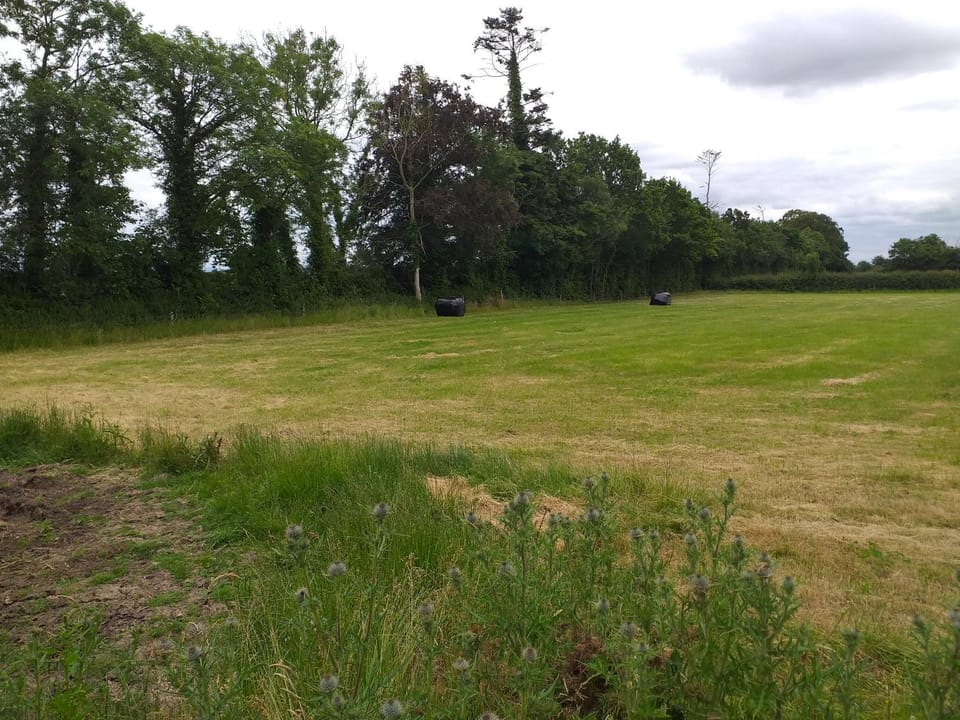 Willsgrove House Vacation rental in Ireland