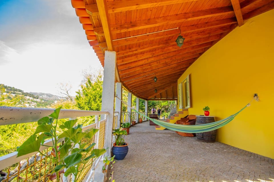 Patio, Spring, Day, Natural landscape, Garden, View (from property/room), Balcony/Terrace, Garden view
