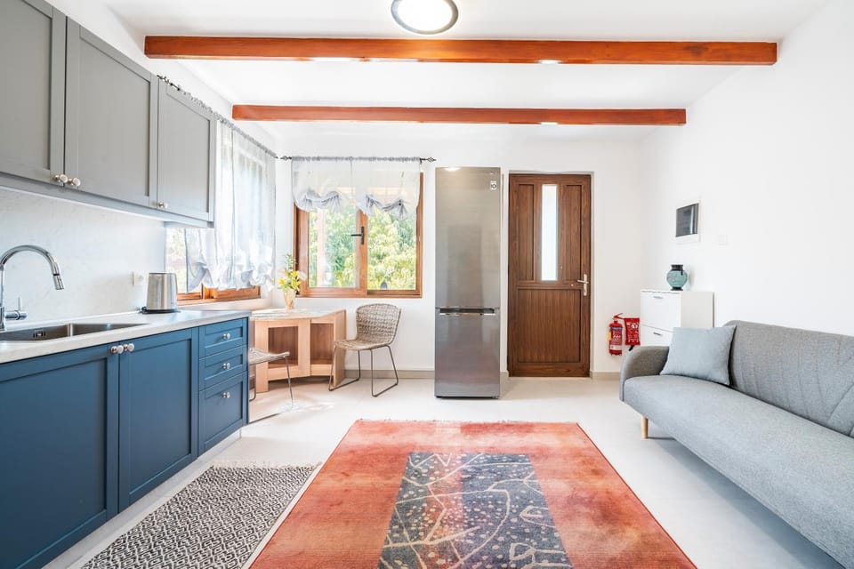 Kitchen or kitchenette, Living room, pet friendly