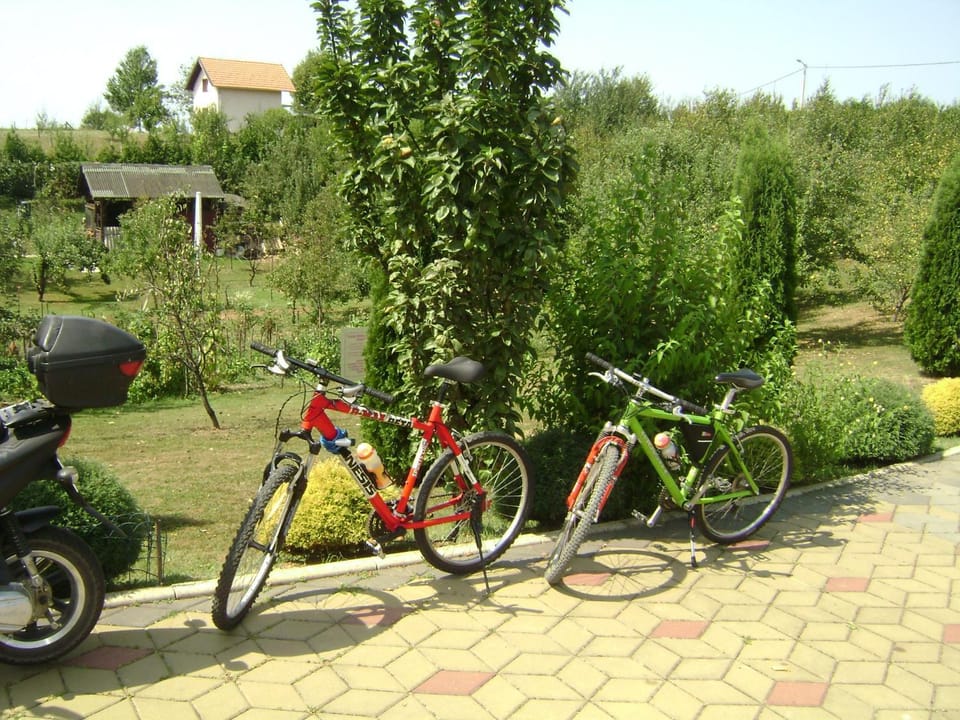 Spring, Day, Cycling, Area and facilities