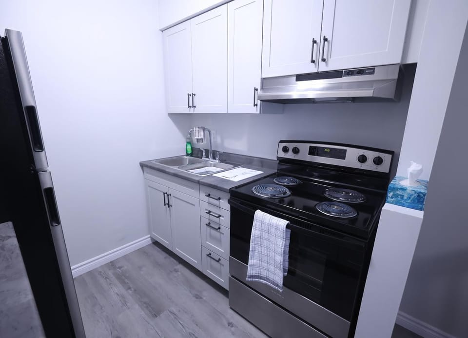 Newly renovated suite Apartment in Michigan