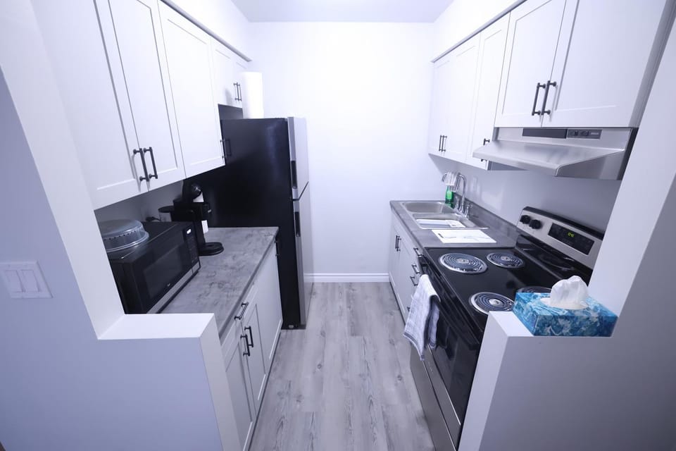 Newly renovated suite Apartment in Michigan