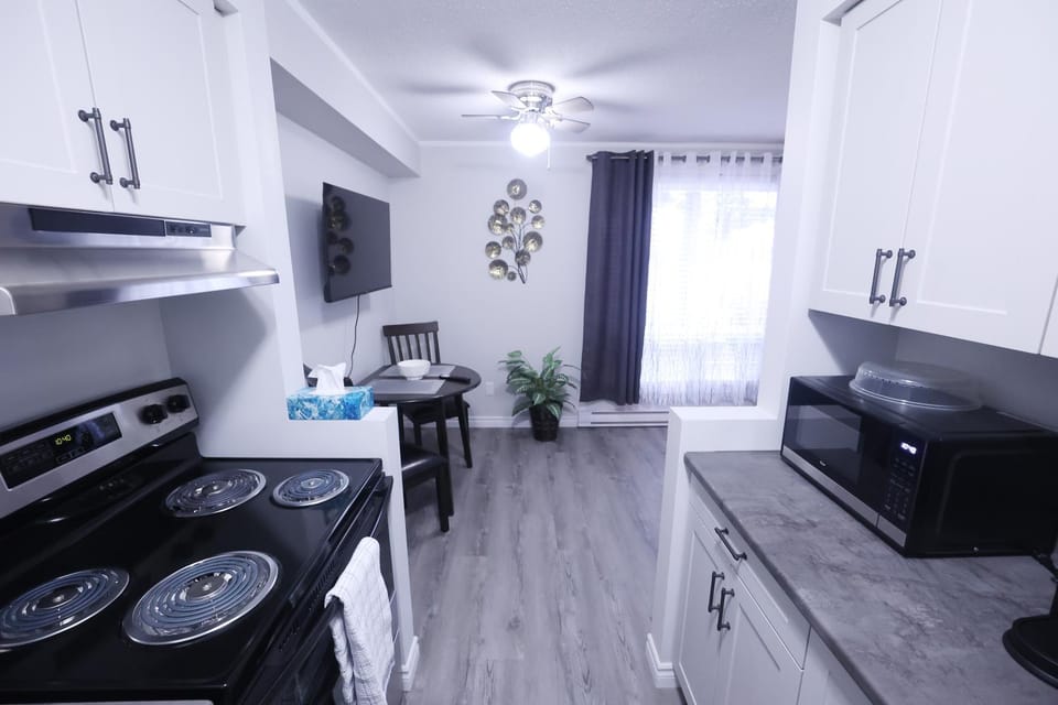 Newly renovated suite Apartment in Michigan
