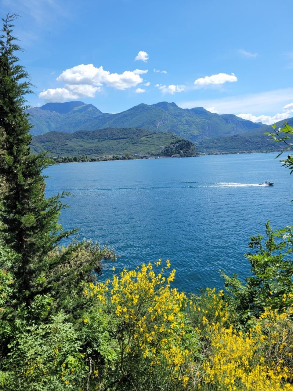 Natural landscape