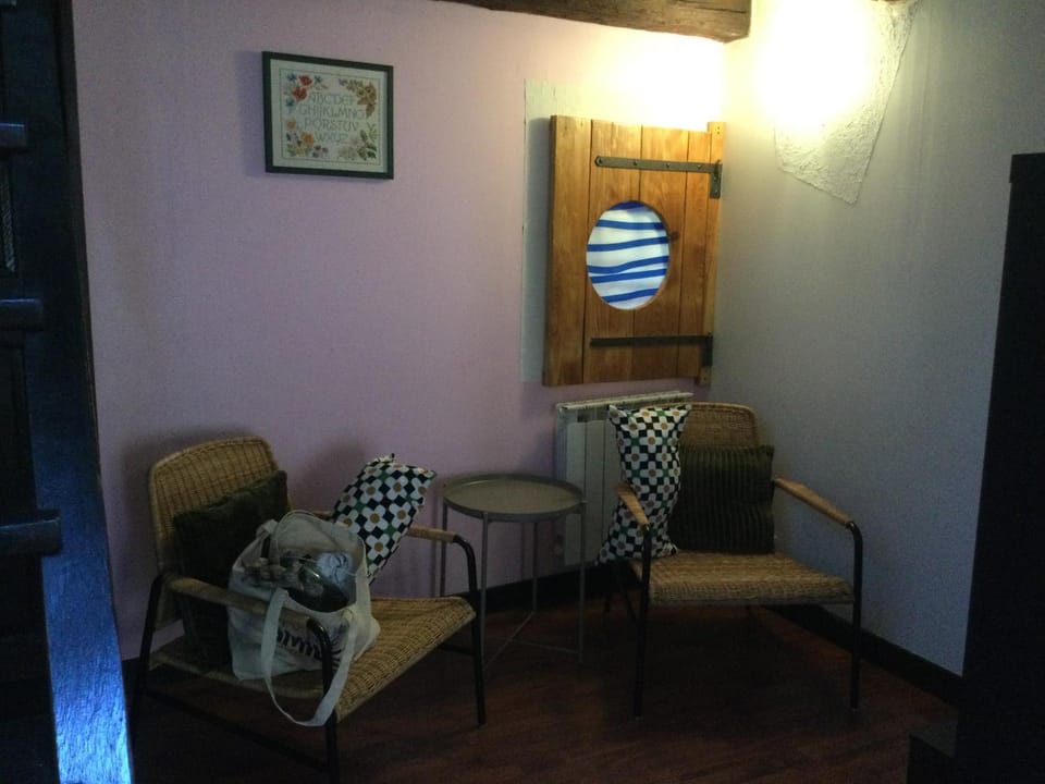 Old Boat Apartment in Nancy