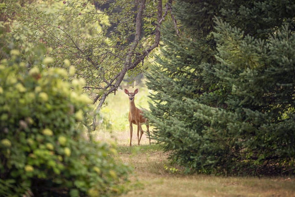 Off site, Natural landscape