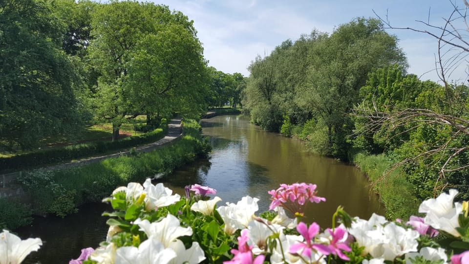 Natural landscape, River view
