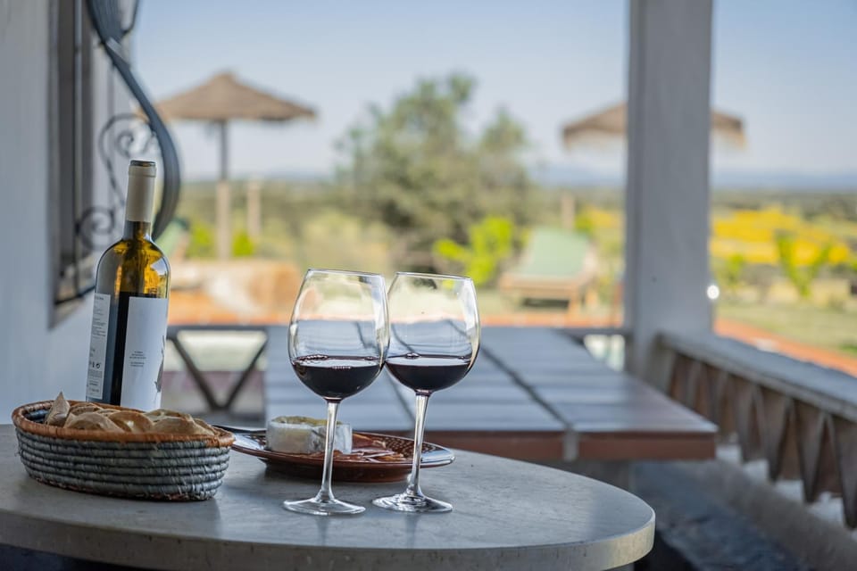 Patio, Day, View (from property/room), Balcony/Terrace, Food and drinks, Dining area, Drinks