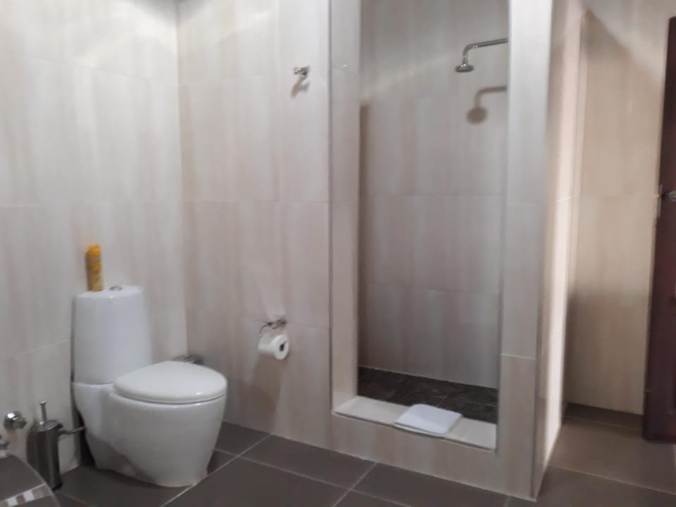 Shower, Toilet