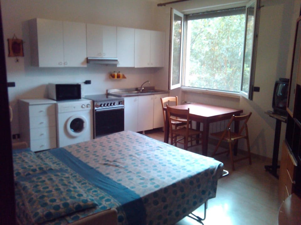 Bed, Kitchen or kitchenette, Living room, Dining area, minibar, stove, washing machine