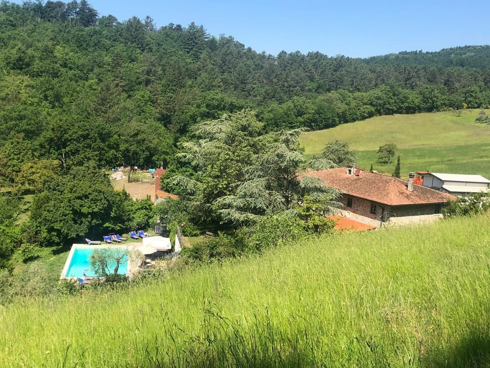 Day, Natural landscape, Summer, Garden, On site, Garden view, Mountain view, Swimming pool, Swimming pool