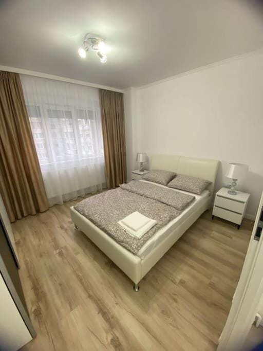 Apartament Daria Apartment in Timisoara