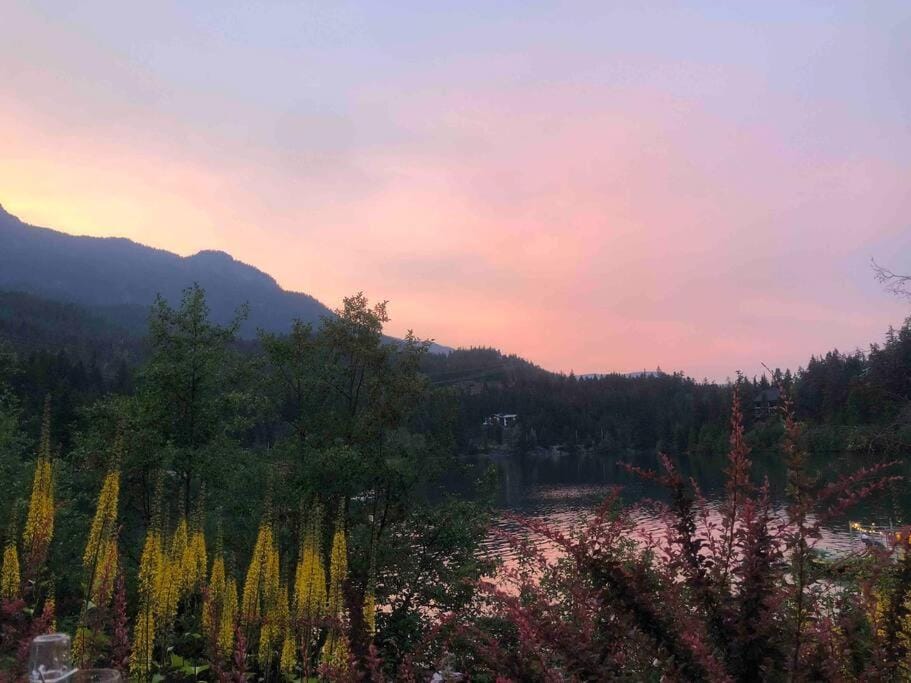 Lake view