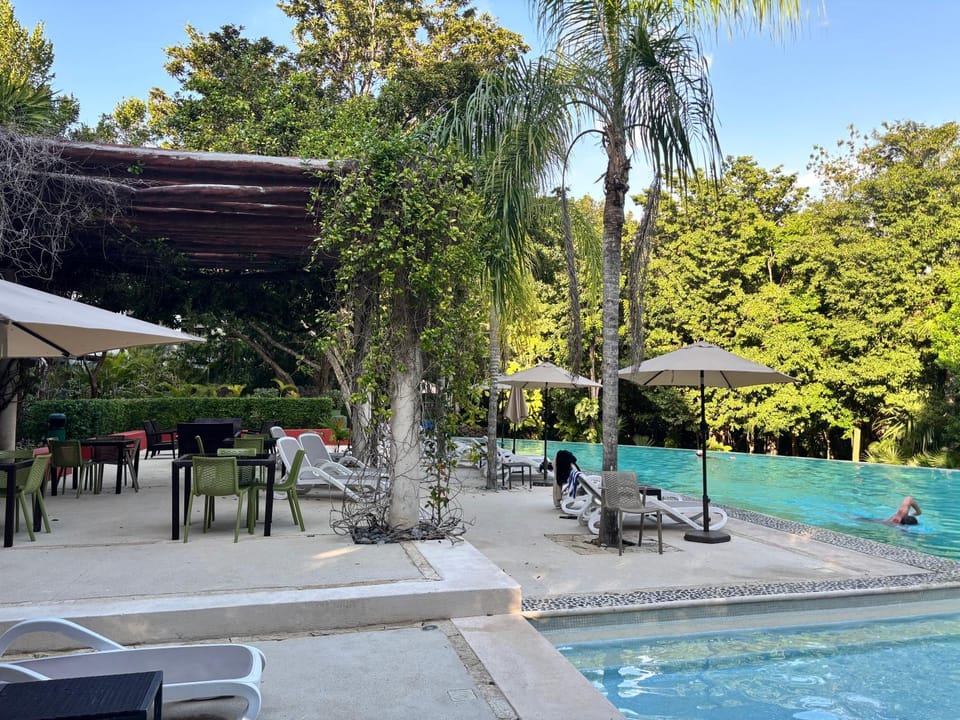 Pool view, Swimming pool
