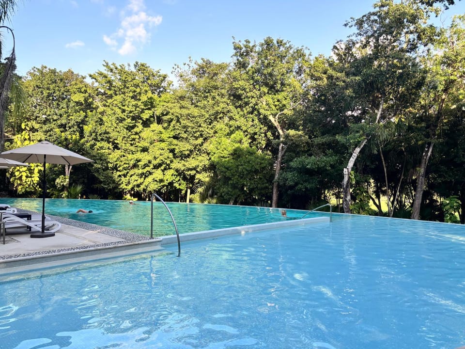 Pool view, Swimming pool