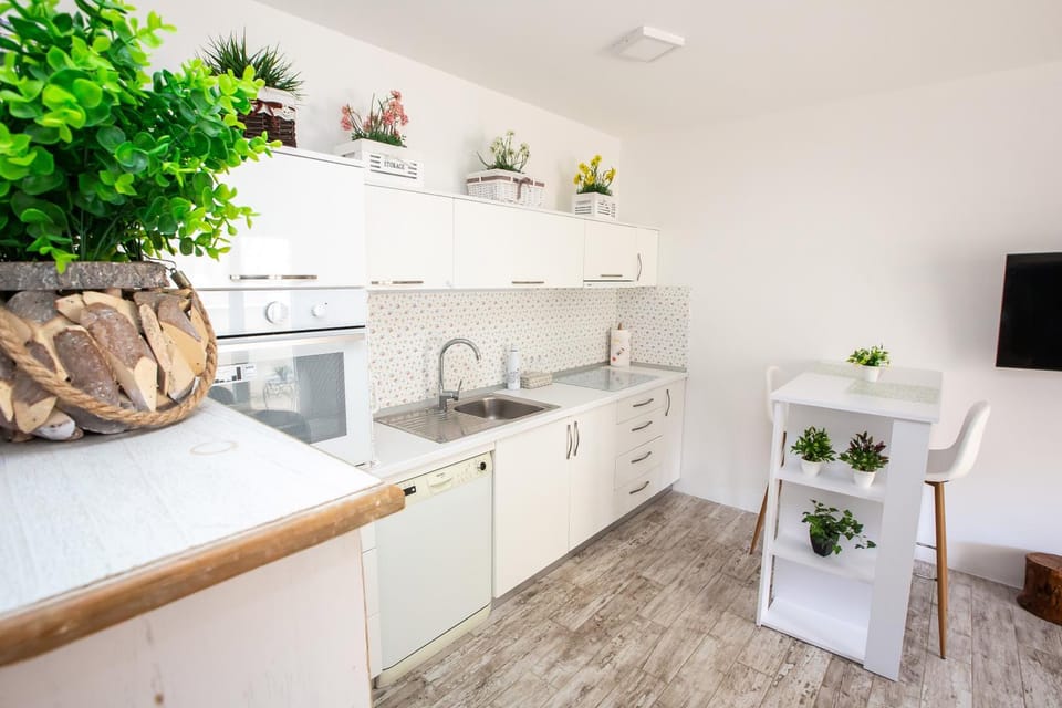Kitchen or kitchenette, dishwasher, minibar, pet friendly, stove