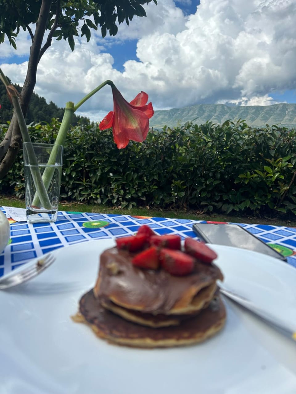 Natural landscape, Food and drinks, Food, Breakfast, Continental breakfast