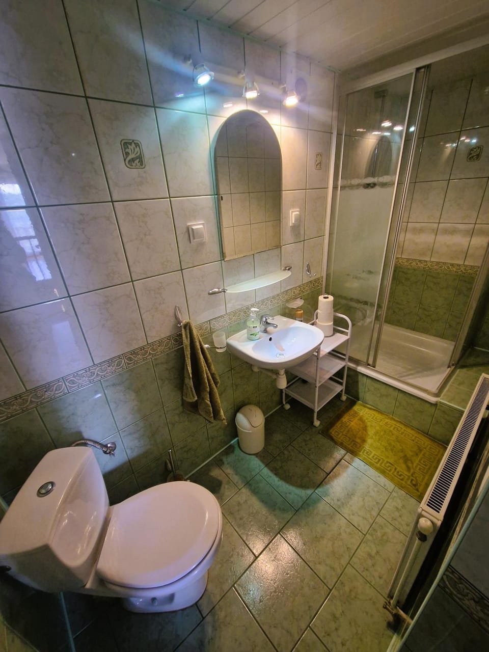 Shower, Toilet, Bathroom, Internal: Not applicable to any particular room