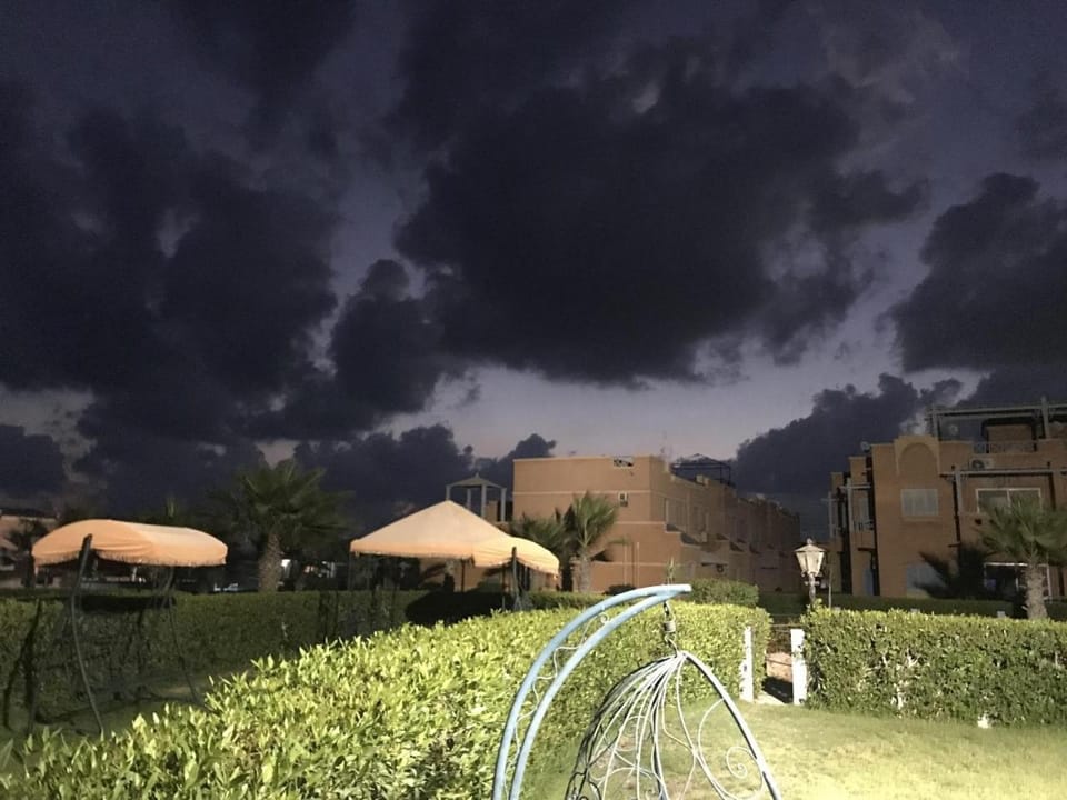 Night, Garden, Garden view