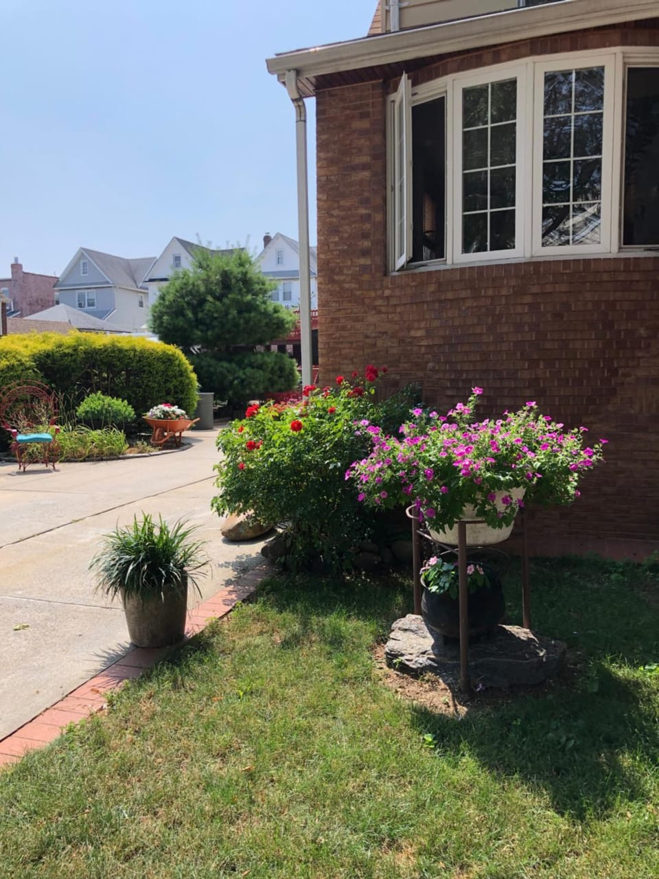 Garden view