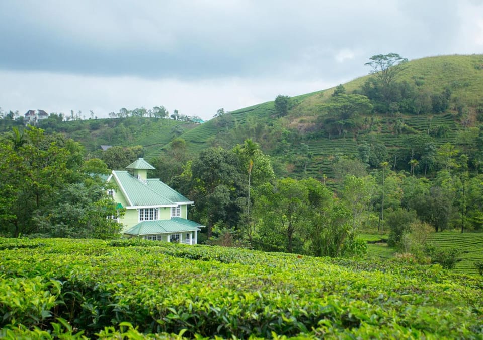 Lavender Plantation Stay vagamon Farm Stay in Kerala