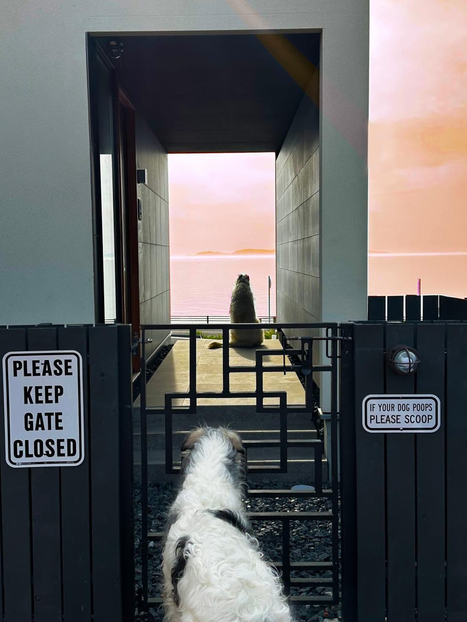 Facade/entrance, View (from property/room), View (from property/room), Pets, Sea view