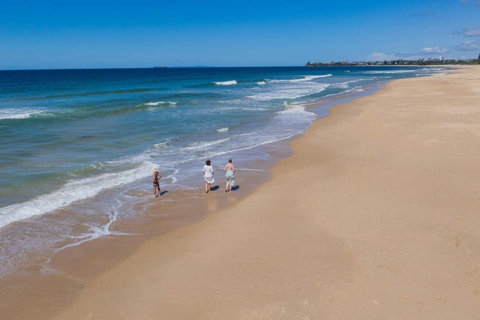 Natural landscape, Beach, group of guests