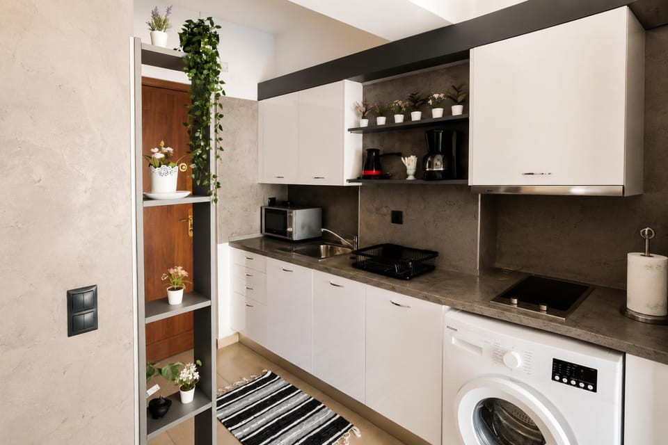 Coffee/tea facilities, Kitchen or kitchenette, stove, washing machine