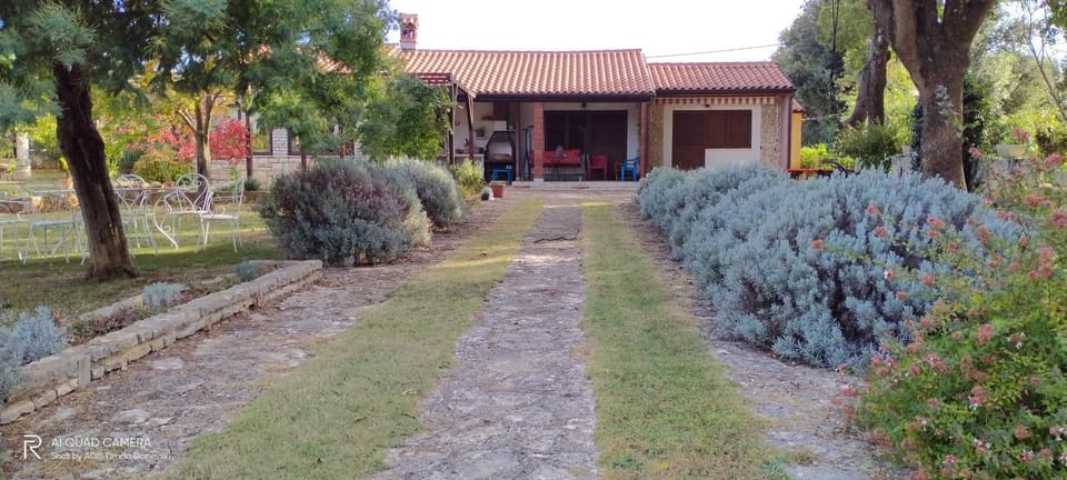 Property building, Garden view