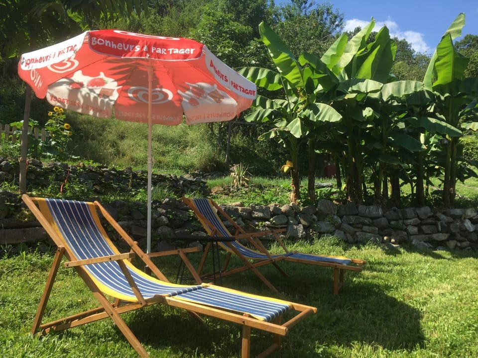 Summer, Garden, sunbed