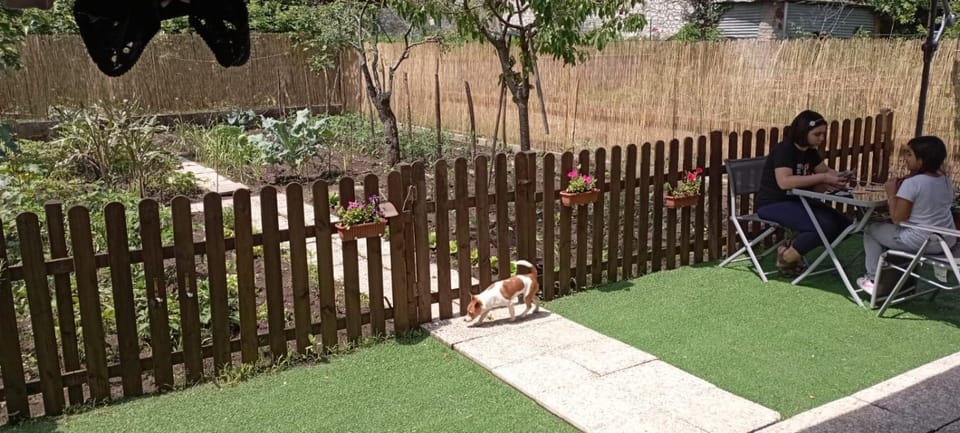 Patio, Spring, Day, People, Garden, Dining area, Garden view, group of guests