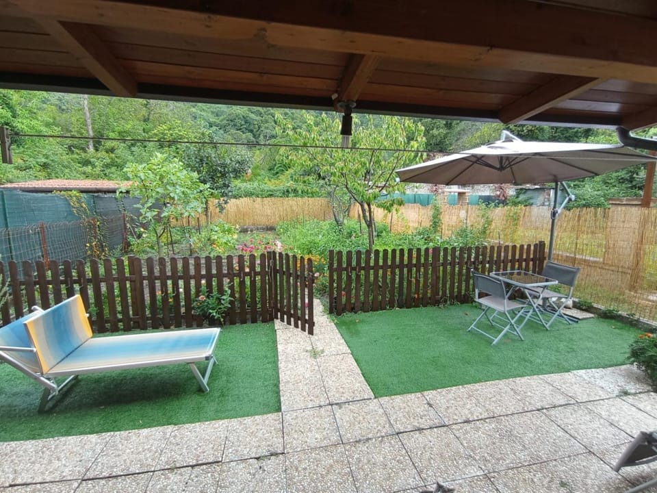 Patio, Spring, Day, Garden, Garden view, sunbed