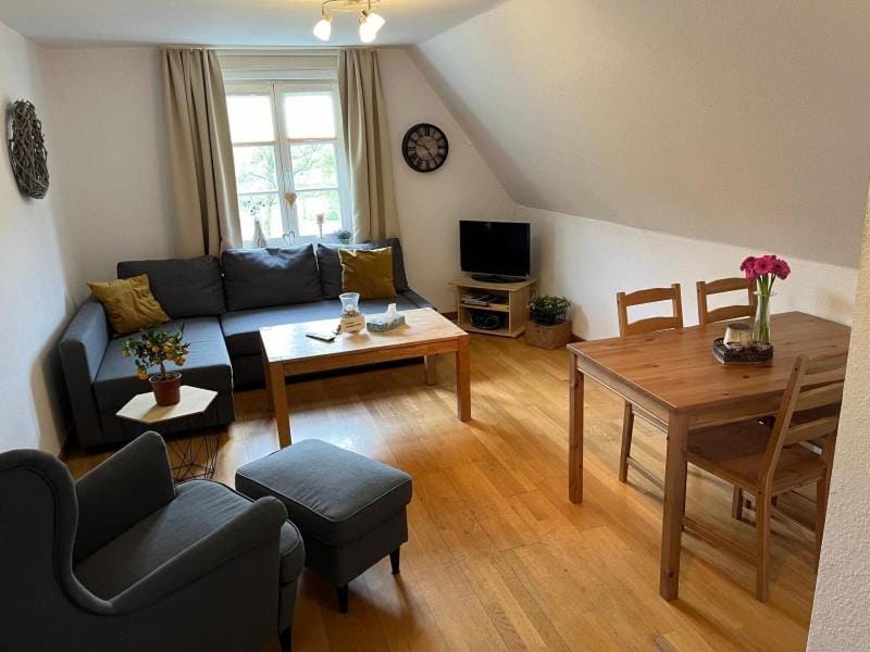 TV and multimedia, Living room, Dining area