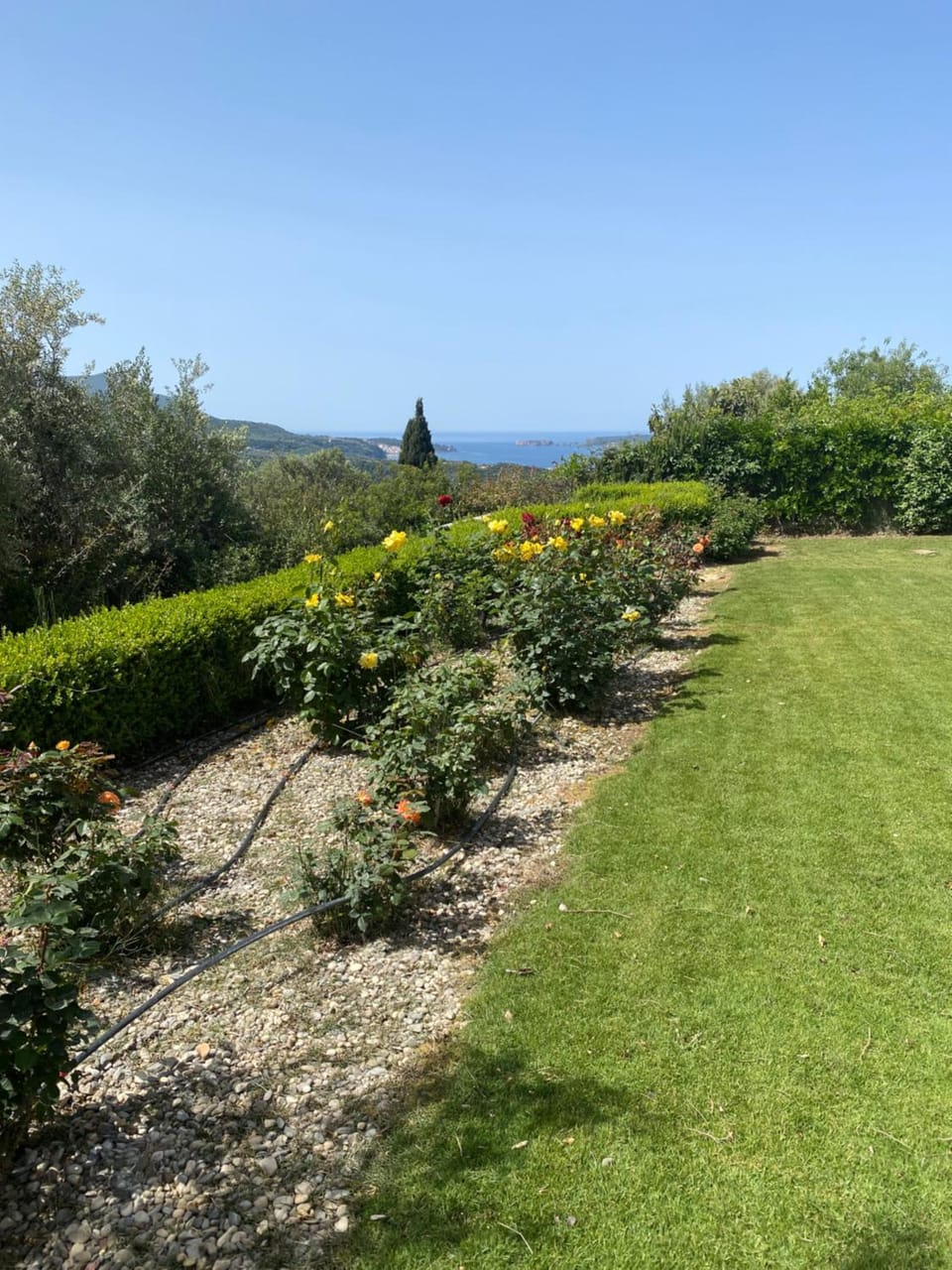 Natural landscape, Garden, Garden view, Sea view