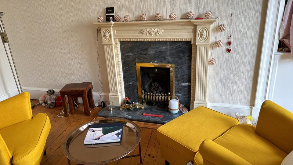 Palm Tree Apartment- Period Home with Cat Apartment in Edinburgh