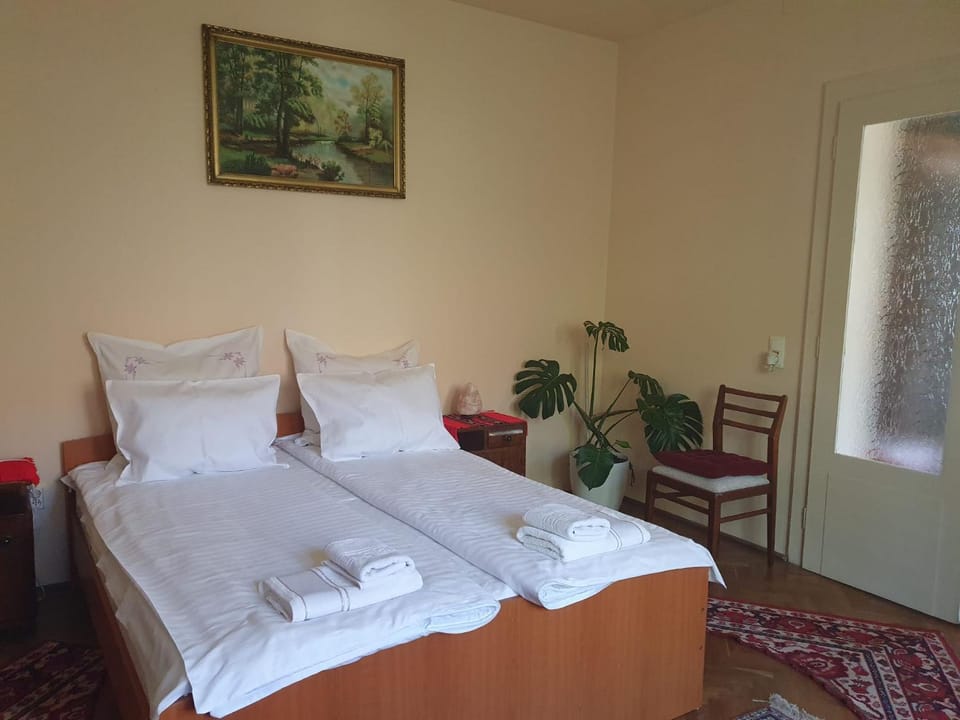 Dodo House Vacation rental in Brașov County