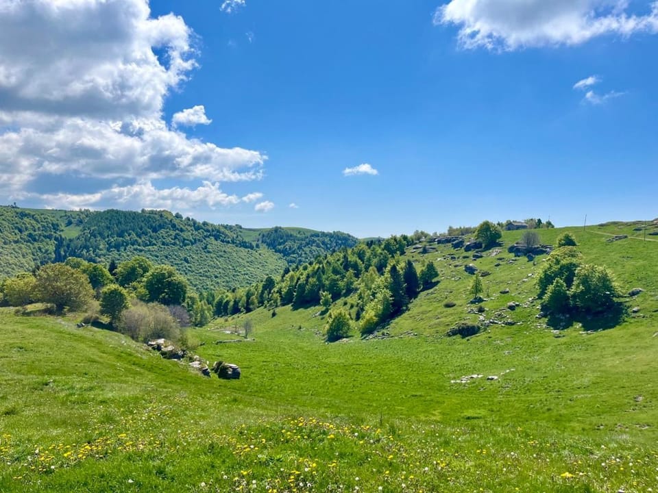 Mountain view, Mountain view