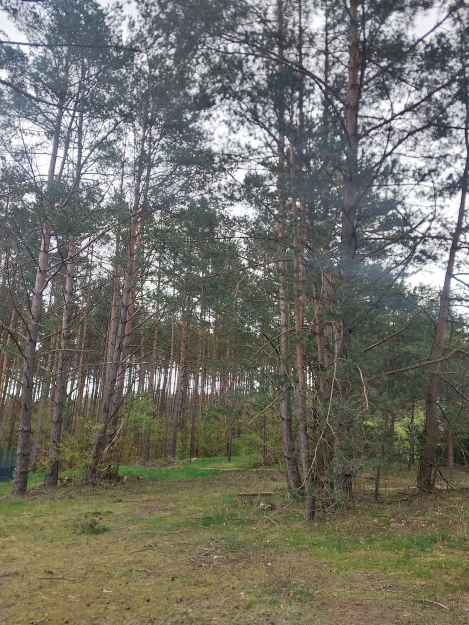 Apartament Rotembark 71 Apartment in Pomeranian Voivodeship