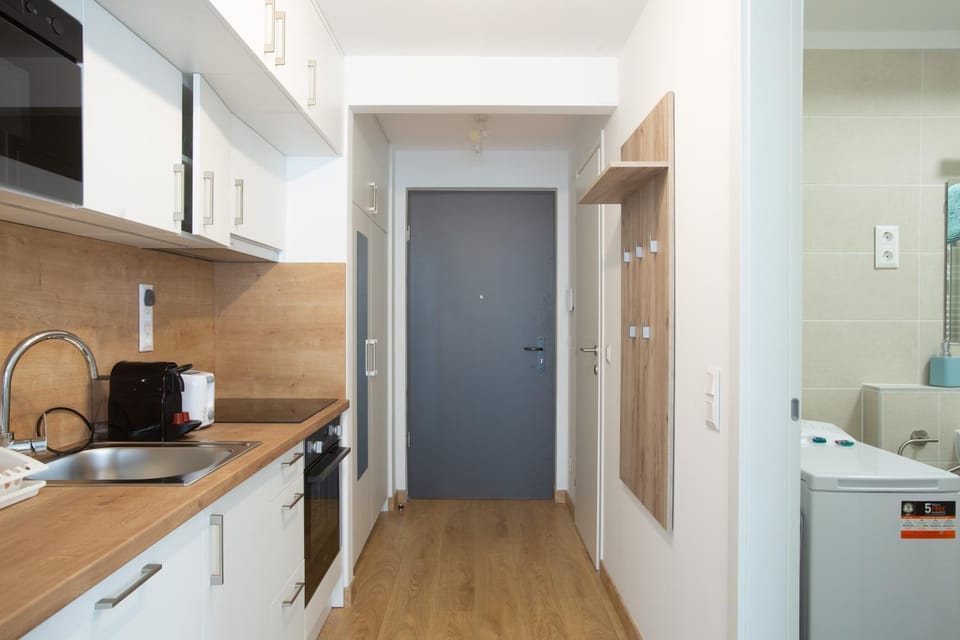 Kitchen or kitchenette, dishwasher, minibar, pet friendly, stove