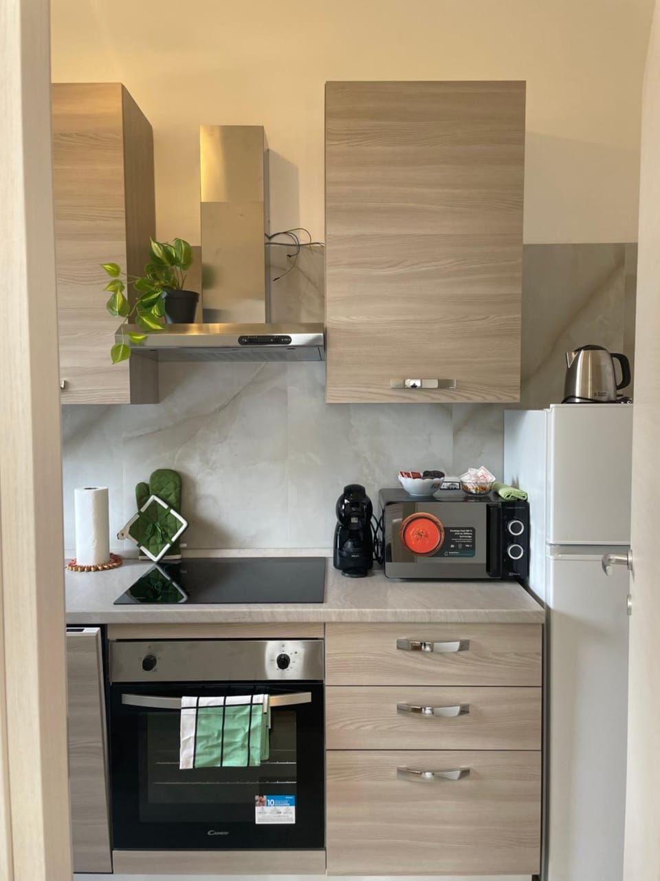 Coffee/tea facilities, Kitchen or kitchenette, minibar, pet friendly, stove