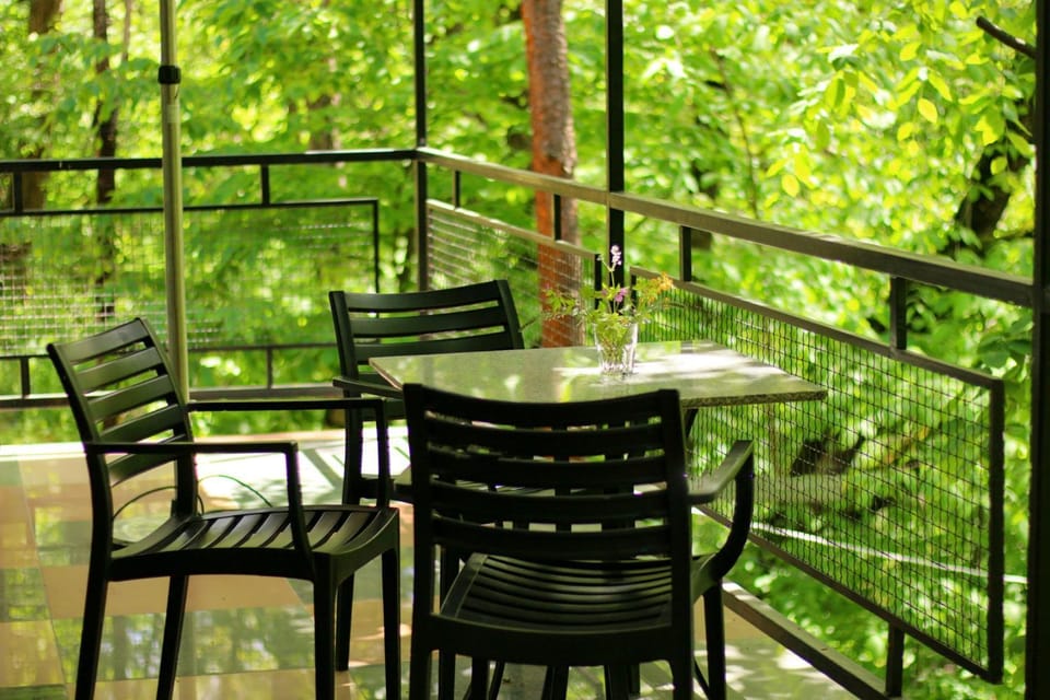 Patio, Spring, Day, Natural landscape, Garden, View (from property/room), Balcony/Terrace, Balcony/Terrace, Dining area, Garden view