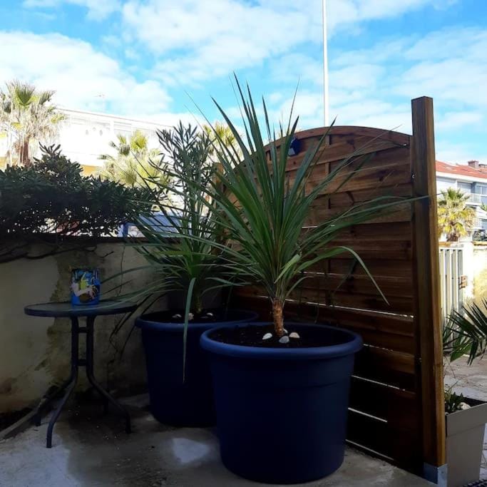 Appartement 2 chambres, avec terrasse/parking Apartment in Palavas-les-Flots