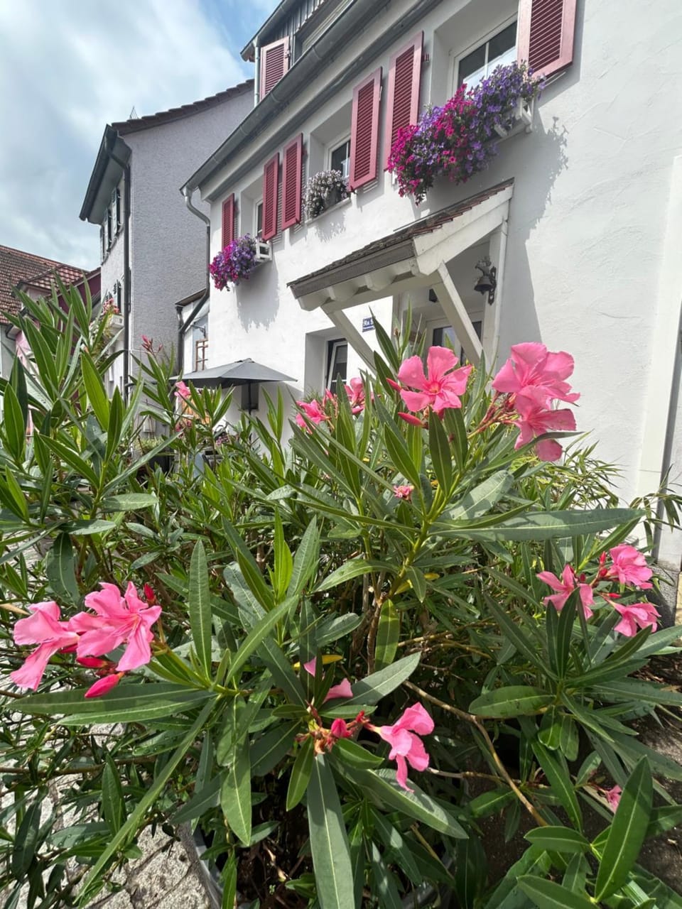 Freudi`s Berghütte Apartment in Baden-Württemberg